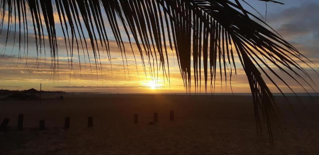 Moringa Beach ساو ميجيل دو غوستوسو المظهر الخارجي الصورة