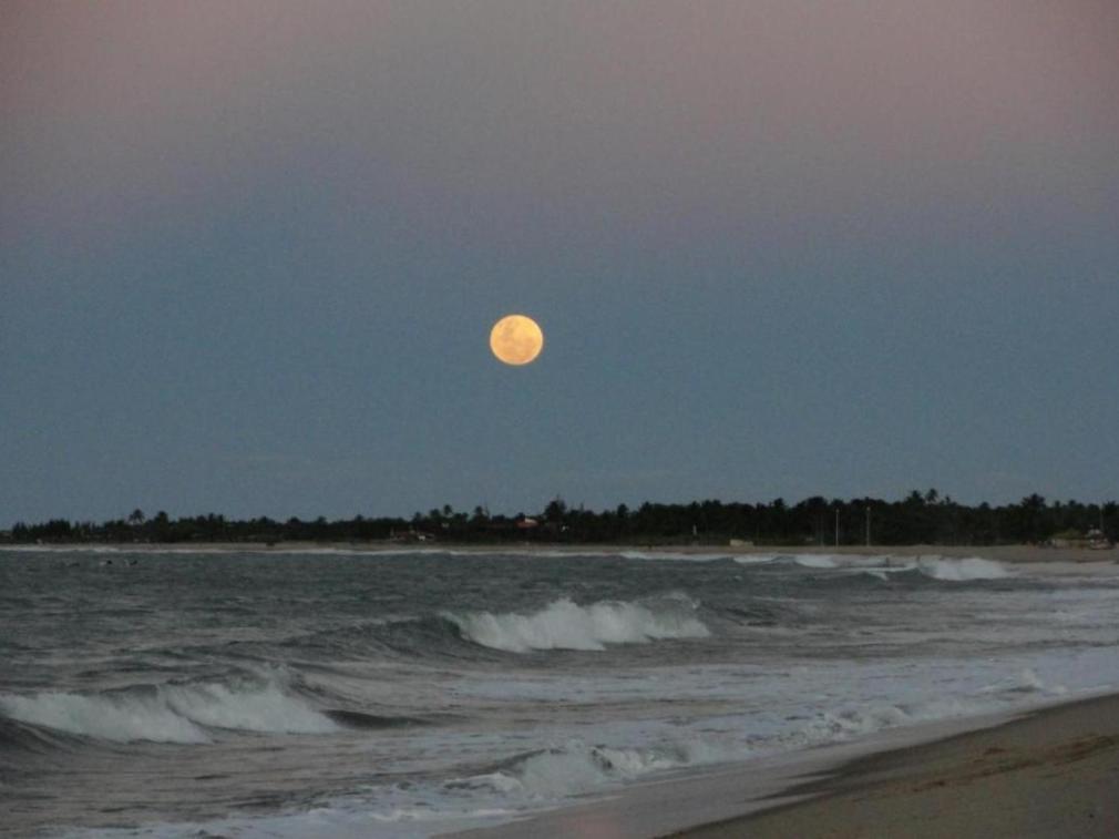 Moringa Beach ساو ميجيل دو غوستوسو المظهر الخارجي الصورة
